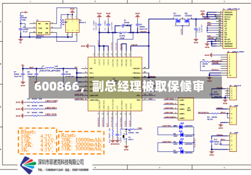 600866，副总经理被取保候审-第3张图片