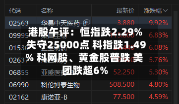 港股午评：恒指跌2.29%失守25000点 科指跌1.49% 科网股、黄金股普跌 美团跌超6%-第2张图片