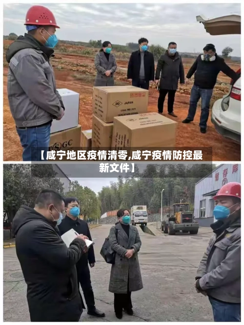 【咸宁地区疫情清零,咸宁疫情防控最新文件】