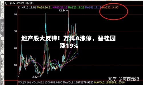 地产股大反弹！万科A涨停，碧桂园涨19%