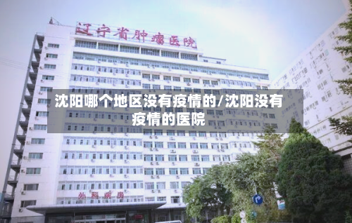 沈阳哪个地区没有疫情的/沈阳没有疫情的医院-第3张图片