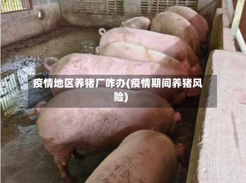 疫情地区养猪厂咋办(疫情期间养猪风险)-第2张图片