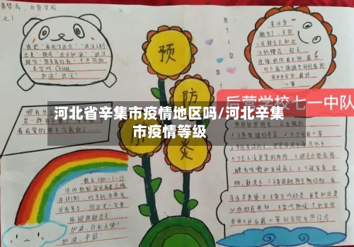 河北省辛集市疫情地区吗/河北辛集市疫情等级-第2张图片