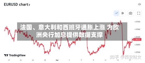 法国、意大利和西班牙通胀上涨 为欧洲央行加息提供数据支撑-第3张图片