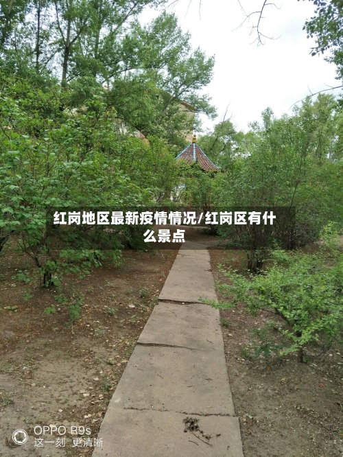 红岗地区最新疫情情况/红岗区有什么景点