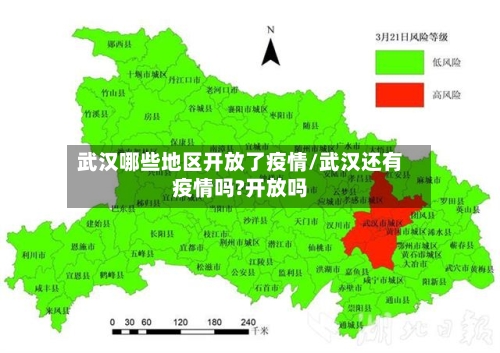武汉哪些地区开放了疫情/武汉还有疫情吗?开放吗