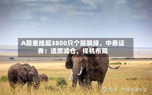 A股重挫超3800只个股飘绿，中泰证券：适度减仓，择机布局