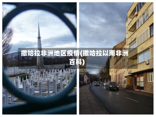 撒哈拉非洲地区疫情(撒哈拉以南非洲百科)-第2张图片