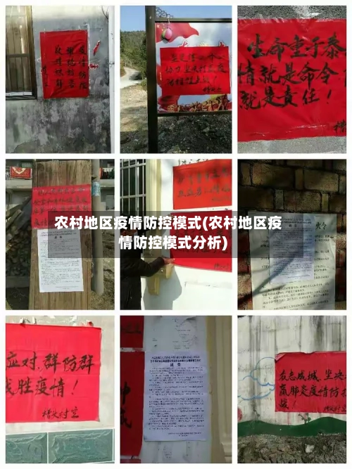 农村地区疫情防控模式(农村地区疫情防控模式分析)-第3张图片