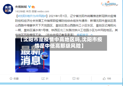 【沈阳市是疫情中高地区吗,沈阳市疫情是中低高那级风险】-第2张图片