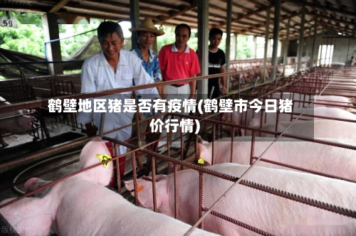 鹤壁地区猪是否有疫情(鹤壁市今日猪价行情)-第3张图片