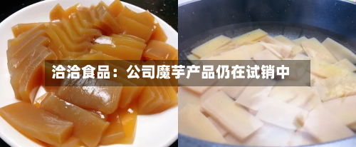 洽洽食品:公司魔芋产品仍在试销中-第3张图片
