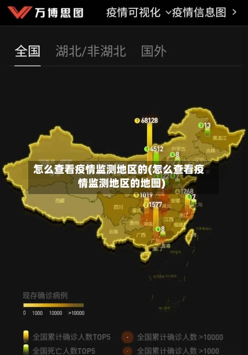 怎么查看疫情监测地区的(怎么查看疫情监测地区的地图)