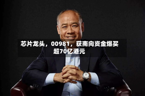 芯片龙头，00981，获南向资金爆买超70亿港元