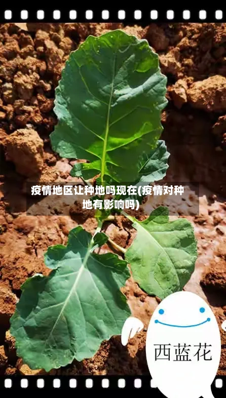 疫情地区让种地吗现在(疫情对种地有影响吗)