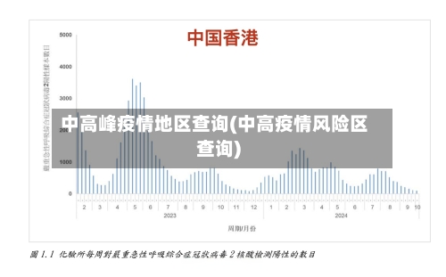 中高峰疫情地区查询(中高疫情风险区查询)-第3张图片
