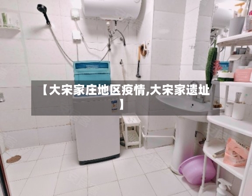 【大宋家庄地区疫情,大宋家遗址】