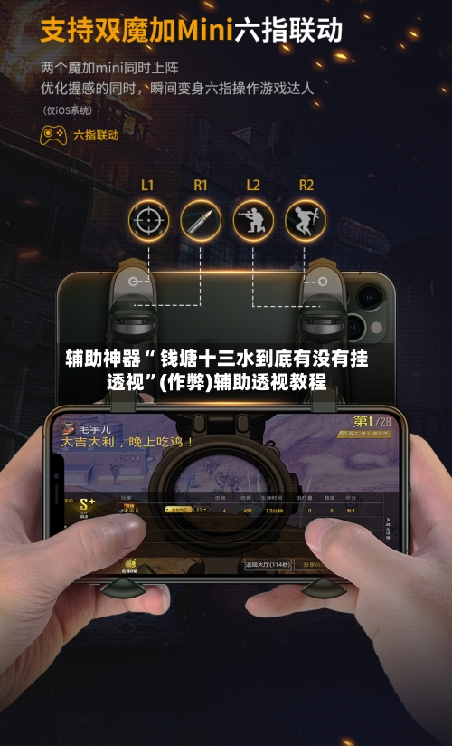 辅助神器“ 钱塘十三水到底有没有挂透视”(作弊)辅助透视教程-第3张图片