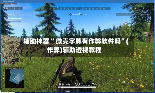辅助神器“ 微壳字牌有作弊软件吗”(作弊)辅助透视教程