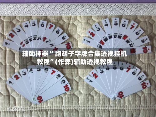 辅助神器“ 跑胡子字牌合集透视挂机教程”(作弊)辅助透视教程-第2张图片