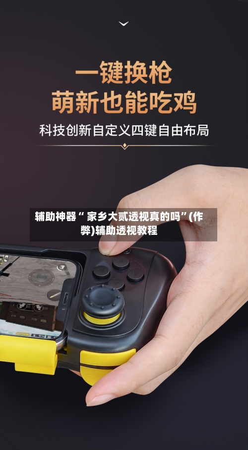 辅助神器“ 家乡大贰透视真的吗”(作弊)辅助透视教程