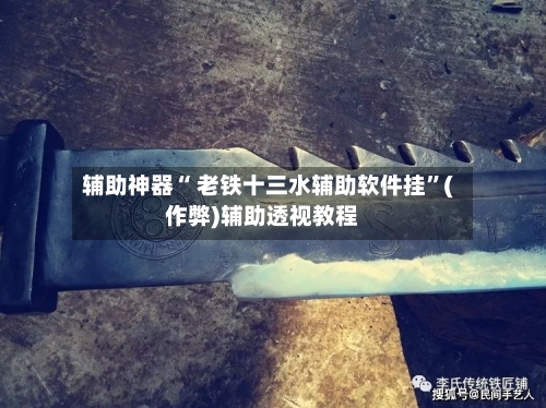 辅助神器“ 老铁十三水辅助软件挂”(作弊)辅助透视教程-第2张图片