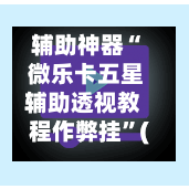 辅助神器“ 微乐卡五星辅助透视教程作弊挂”(作弊)辅助透视教程-第2张图片