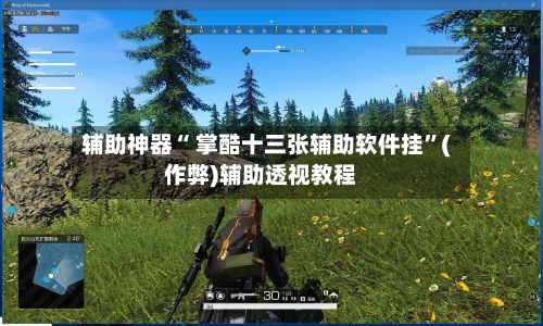 辅助神器“ 掌酷十三张辅助软件挂”(作弊)辅助透视教程-第2张图片