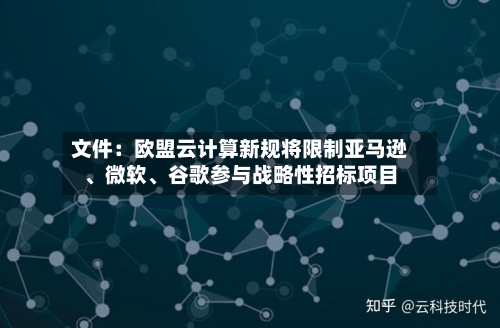 文件：欧盟云计算新规将限制亚马逊、微软、谷歌参与战略性招标项目-第2张图片