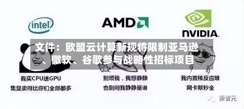 文件：欧盟云计算新规将限制亚马逊、微软、谷歌参与战略性招标项目