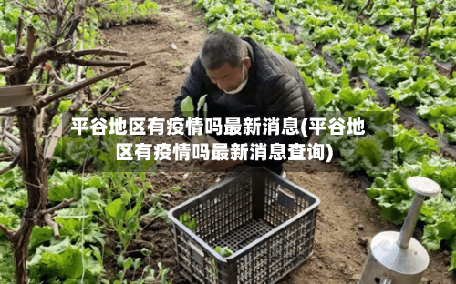 平谷地区有疫情吗最新消息(平谷地区有疫情吗最新消息查询)-第2张图片