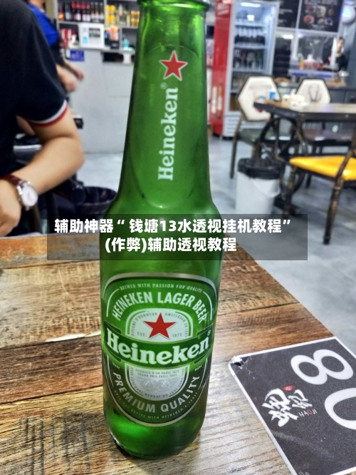 辅助神器“ 钱塘13水透视挂机教程”(作弊)辅助透视教程-第3张图片