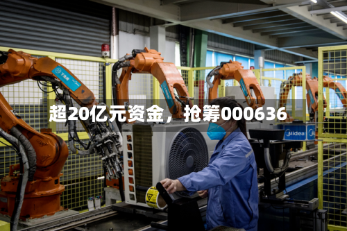 超20亿元资金，抢筹000636-第3张图片