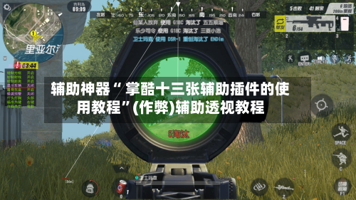 辅助神器“ 掌酷十三张辅助插件的使用教程”(作弊)辅助透视教程-第2张图片