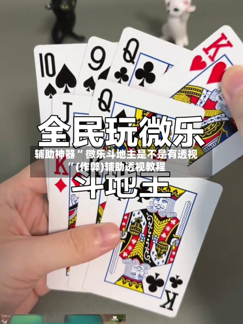 辅助神器“ 微乐斗地主是不是有透视”(作弊)辅助透视教程-第3张图片