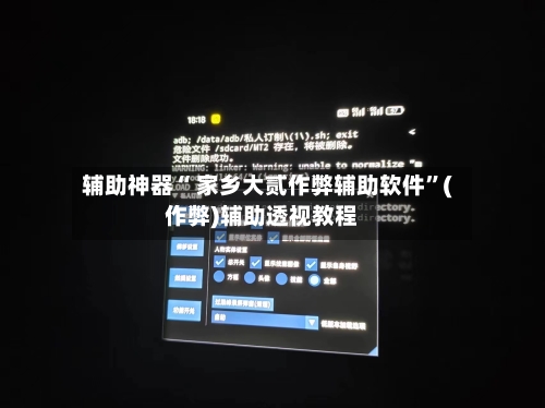 辅助神器“ 家乡大贰作弊辅助软件	”(作弊)辅助透视教程-第3张图片