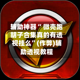 辅助神器“ 微壳跑胡子合集真的有透视挂么”(作弊)辅助透视教程-第3张图片
