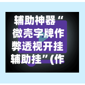 辅助神器“ 微壳字牌作弊透视开挂辅助挂”(作弊)辅助透视教程