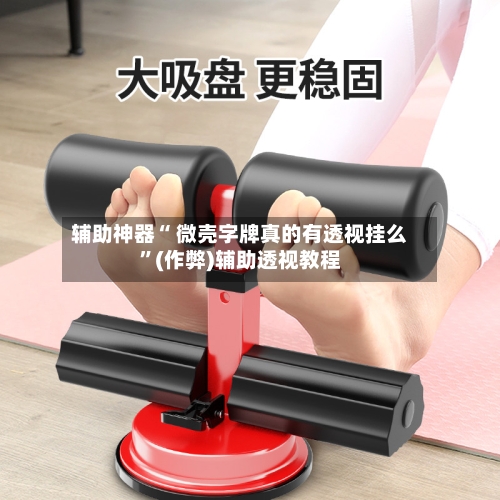 辅助神器“ 微壳字牌真的有透视挂么”(作弊)辅助透视教程-第3张图片
