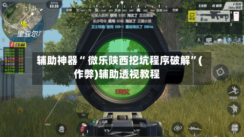辅助神器“ 微乐陕西挖坑程序破解”(作弊)辅助透视教程-第3张图片
