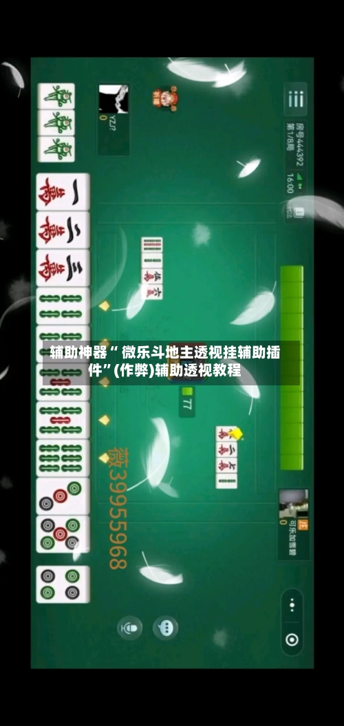 辅助神器“ 微乐斗地主透视挂辅助插件”(作弊)辅助透视教程