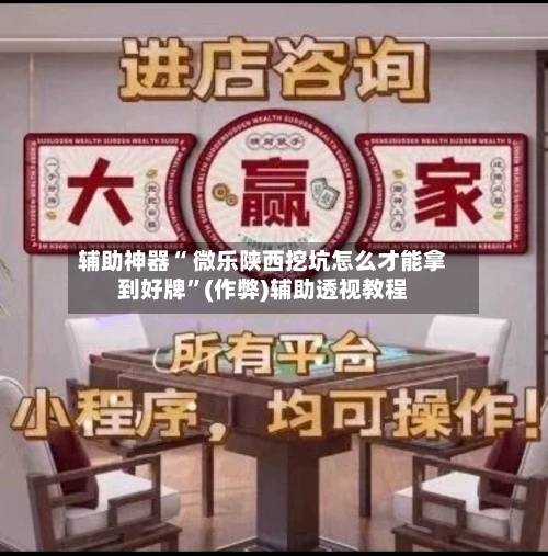 辅助神器“ 微乐陕西挖坑怎么才能拿到好牌”(作弊)辅助透视教程-第2张图片