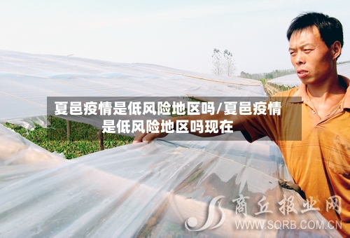 夏邑疫情是低风险地区吗/夏邑疫情是低风险地区吗现在-第2张图片