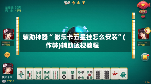 辅助神器“ 微乐卡五星挂怎么安装”(作弊)辅助透视教程-第2张图片