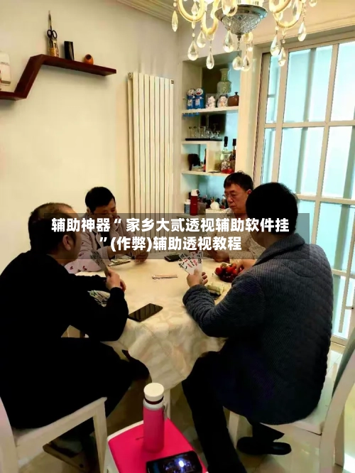 辅助神器“ 家乡大贰透视辅助软件挂”(作弊)辅助透视教程-第2张图片