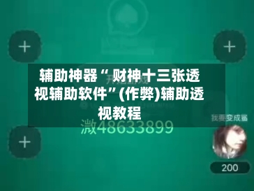 辅助神器“ 财神十三张透视辅助软件”(作弊)辅助透视教程-第2张图片