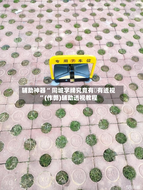 辅助神器“ 同城字牌究竟有沒有透视”(作弊)辅助透视教程