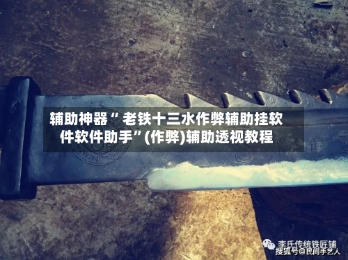 辅助神器“ 老铁十三水作弊辅助挂软件软件助手”(作弊)辅助透视教程