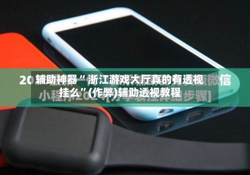 辅助神器“ 浙江游戏大厅真的有透视挂么”(作弊)辅助透视教程-第2张图片