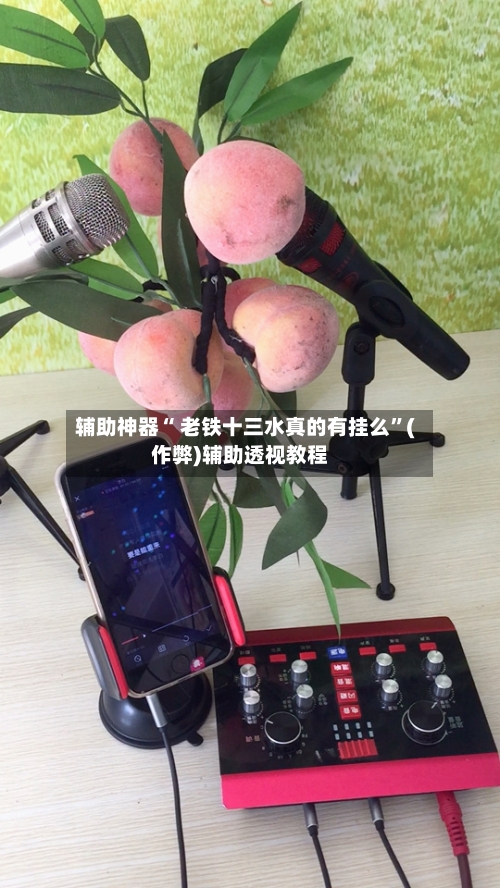 辅助神器“ 老铁十三水真的有挂么”(作弊)辅助透视教程-第2张图片